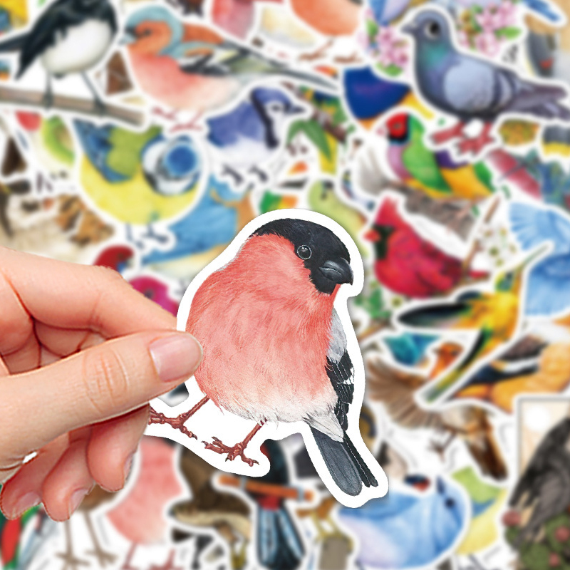 50PCS Watercolor Bird Graffiti - Phone Cases Kids review and price